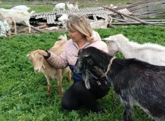 80 коз: бывшая глава сельсовета на Одесщине превратила хобби в собственное дело (видео)