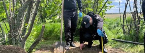 Жуткое убийство в Одесской области: жителя Измаила закопали заживо (видео)
