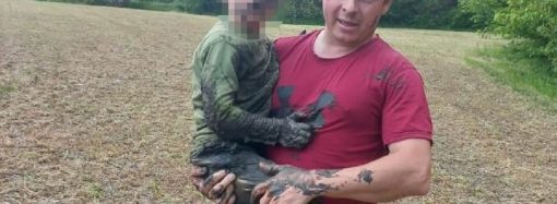 В Одесской области застрял в болоте 4-летний ребенок – как его спасли? (видео)