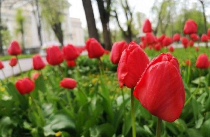 Погода в Одессе 3 мая: весна вступает в свои права?