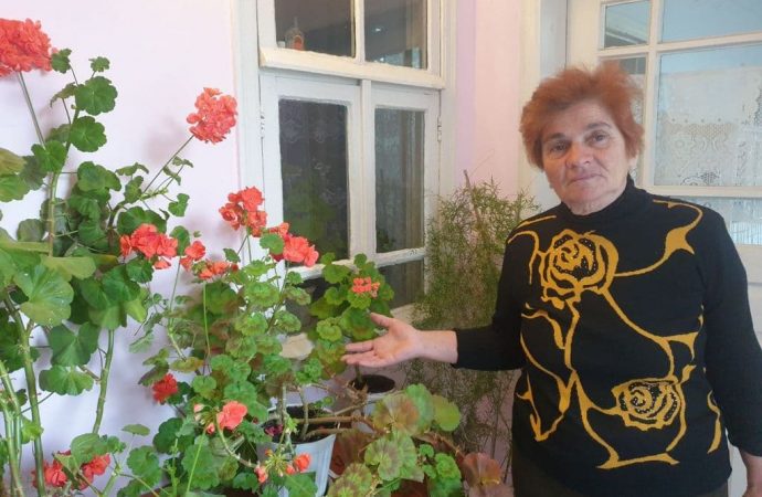 Зачем болгарские хозяйки украшают свои дома геранью
