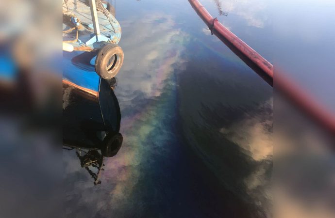 Лиман на Одещині забруднили нафтопродукти з судна