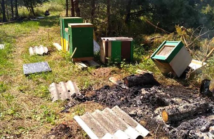 Близько двох мільйонів бджіл спалили на Французькому бульварі в Одесі