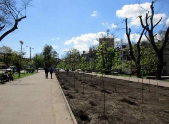 В Одессе преображают Прохоровский сквер: там будут особые деревья