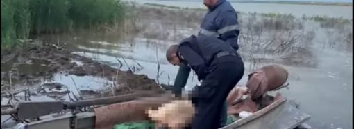 На озері на Одещині сталося вбивство