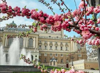 Погода в Одесі 30 травня: чи чекають на жителів регіону знову дощі та сильний вітер?