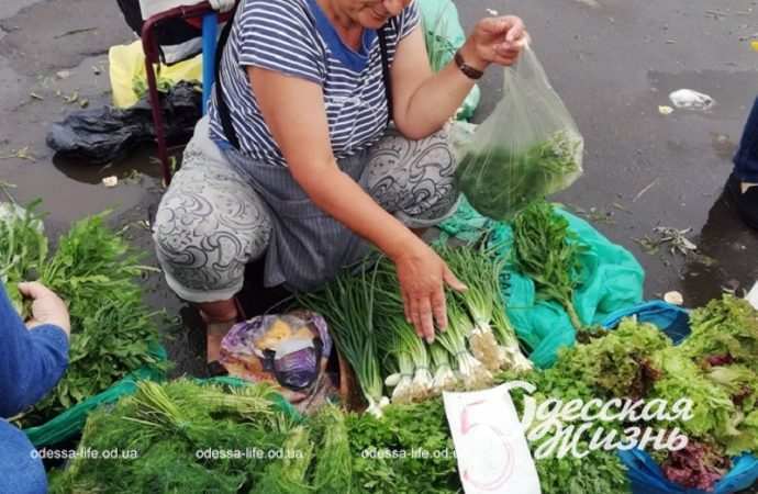 Зелень, Привоз, цены