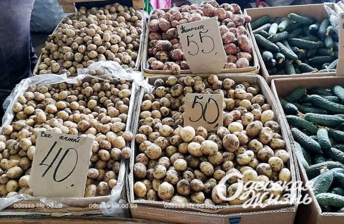 Цены на Привозе7