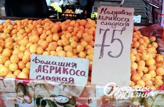 Цены на абрикосы, одесский Привоз