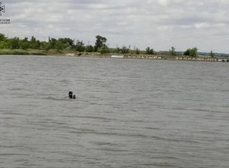 В Одесской области в пруду утонул мужчина