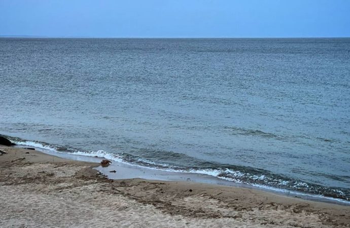 Солёность Черного моря в норме: какие еще результаты мониторинга воды в Одессе