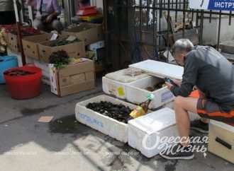 Рыба есть — рыбы нет: ситуация с морепродуктами на одесских рынках  (фоторепортаж)