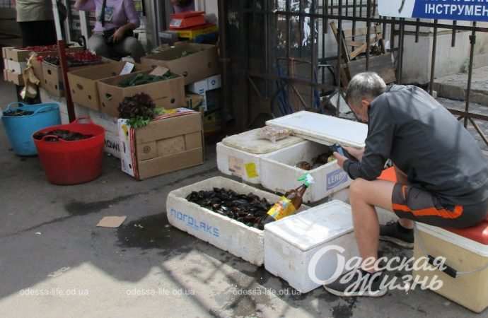 Рыба есть — рыбы нет: ситуация с морепродуктами на одесских рынках  (фоторепортаж)