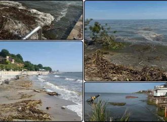 Екоцид: як підрив Каховської ГЕС спричинив рекордне забруднення Чорного моря