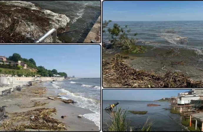 Экоцид: как подрыв Каховской ГЭС вызвал рекордное загрязнение Черного моря