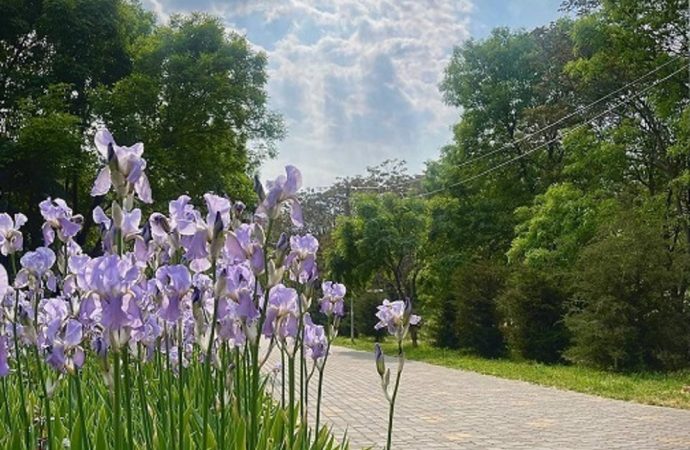 Погода в Одессе 18 июня: воскресенье будет жарким?