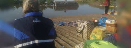 Херсонская область: Люди на крышах затопленных домов ждут помощи (фото, видео)