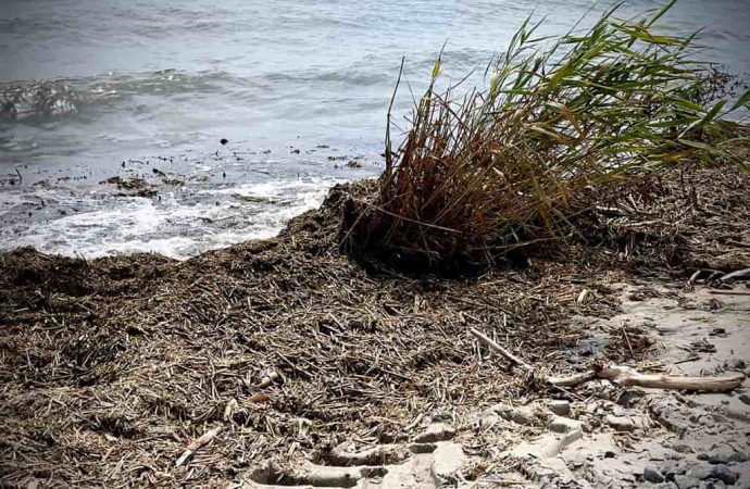 В Одесі перевірили якість питної та морської води: результати