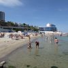 В Одессе на трёх популярных пляжах нашли кишечную палочку