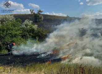 В Одесской области за неделю сгорело 24 гектара растительности