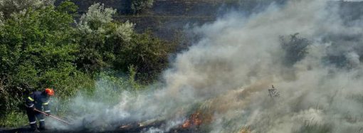 В Одесской области за неделю сгорело 24 гектара растительности