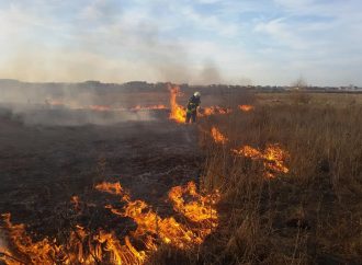 В Одесской области оштрафовали поджигателей сухой травы
