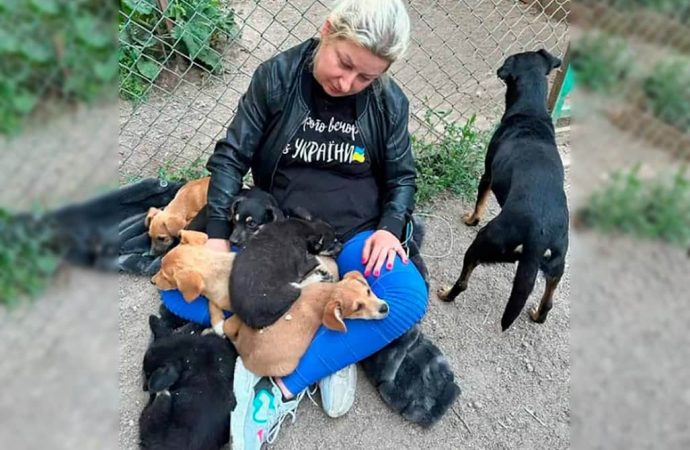 Спасенные животные из Херсонской области находят новые дома у одесситов