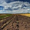 В Одесской области лицей отдал фермеру землю стоимостью 20 млн гривен
