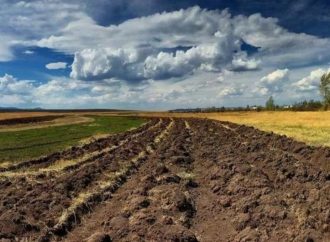На Одещині ліцей віддав фермеру землю вартістю 20 млн гривень