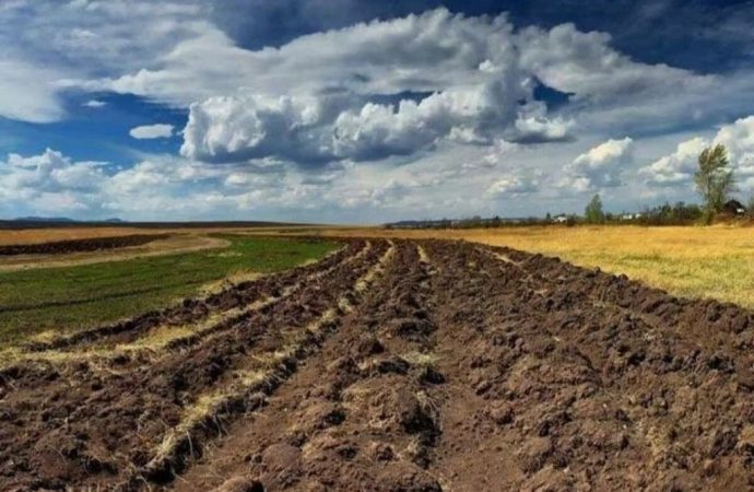 В Одесской области лицей отдал фермеру землю стоимостью 20 млн гривен