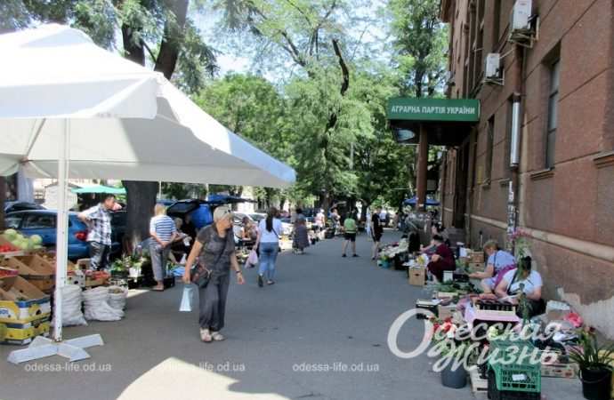 Дорожка на улице Конной в Одессе