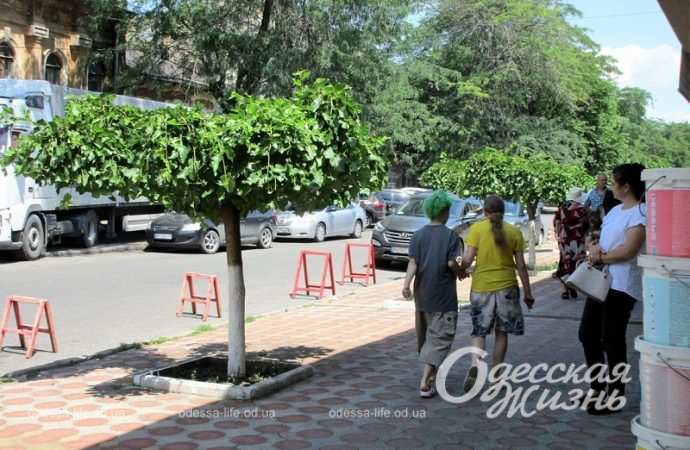 на улице Конной в Одессе6
