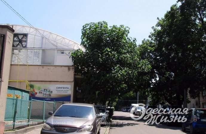 Одесса, Новобазарный переулок