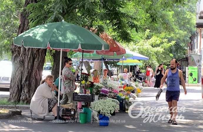 На улице Торговой в Одессе