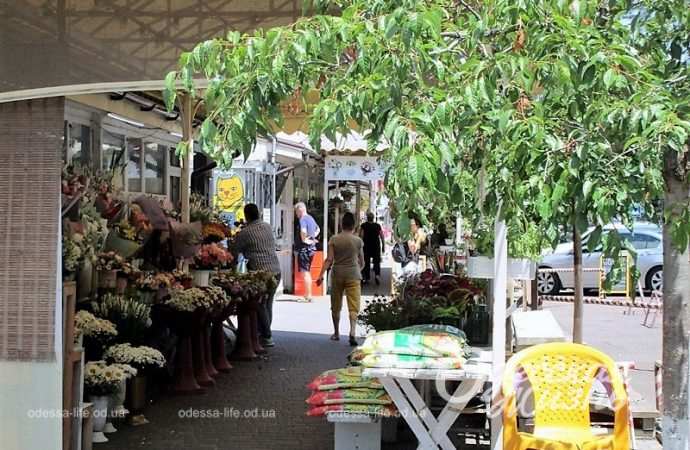 На улице Торговой в Одессе2