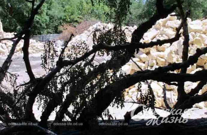 Снос особняка Гавсевича в Одессе2