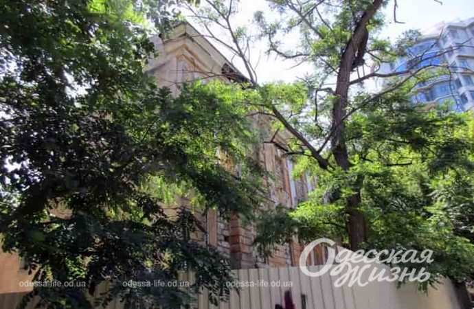 Особняк Гавсевича в Одессе5