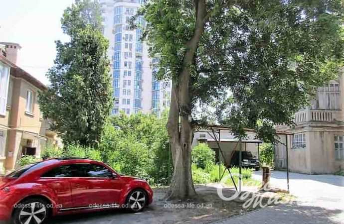 Одесский двор, авто