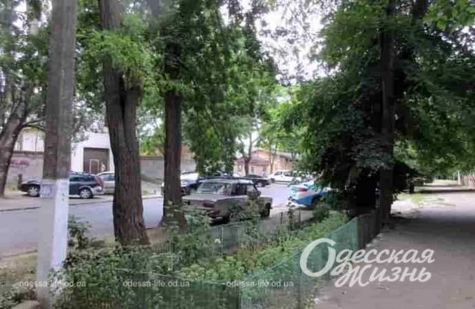 На улице Заньковецкой в Одессе, палисадник
