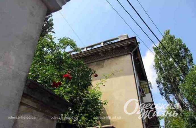 На улице Заньковецкой в Одессе, цветы