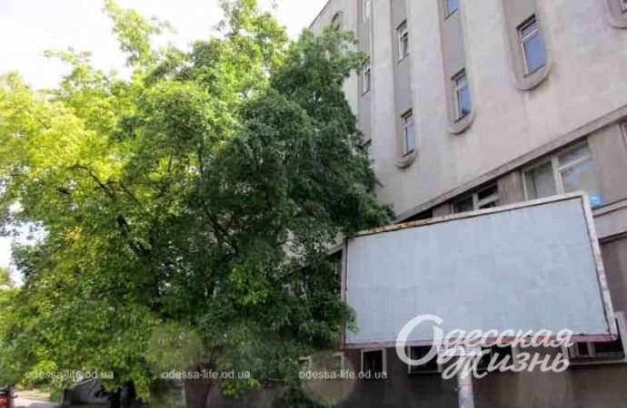 На улице Заньковецкой в Одессе, борд