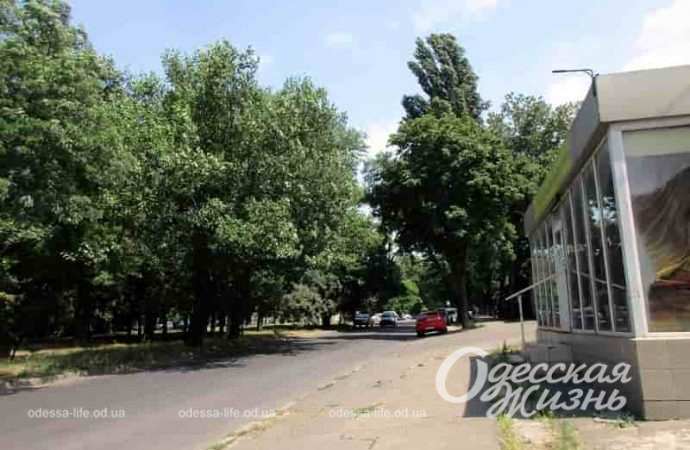 На улице Заньковецкой в Одессе, магазин