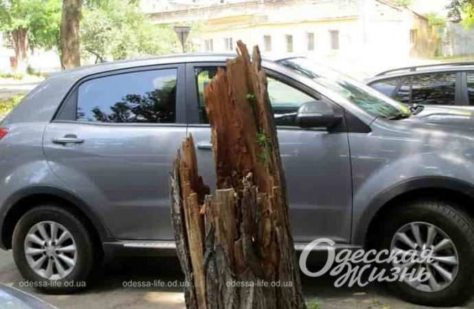 На улице Заньковецкой в Одессе, авто