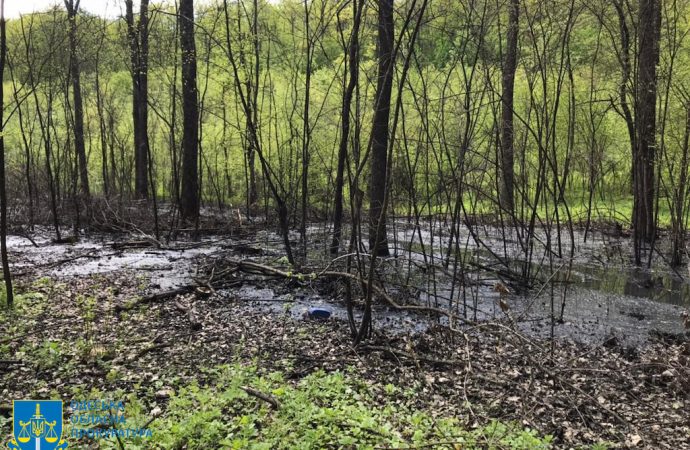 В Одесской области из-за халатности работника коммунального предприятия погибла часть леса