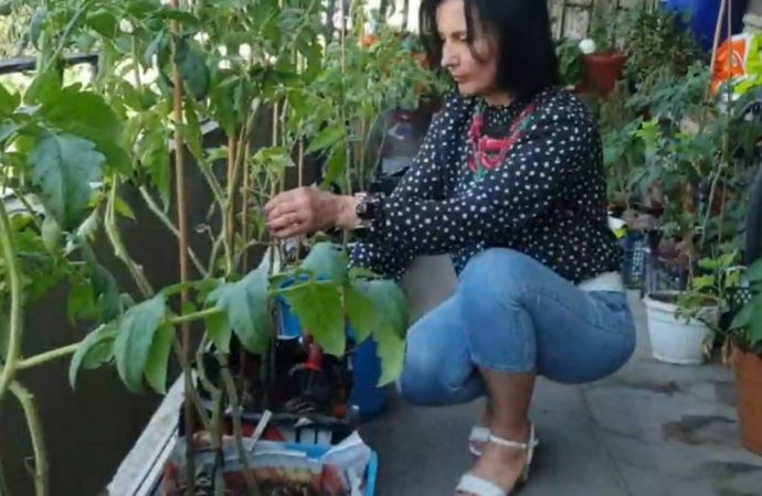 Жительница Одесщины создала в Болгарии настоящий украинский оазис