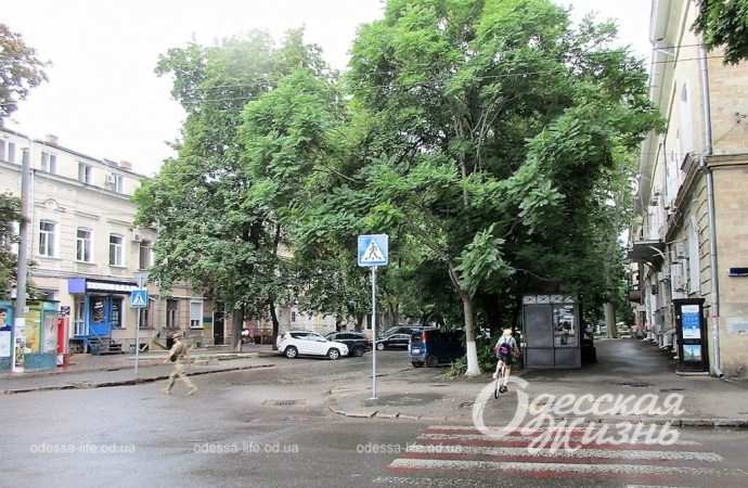 Июль по-одесски: город в дождливом настроении  (фоторепортаж)