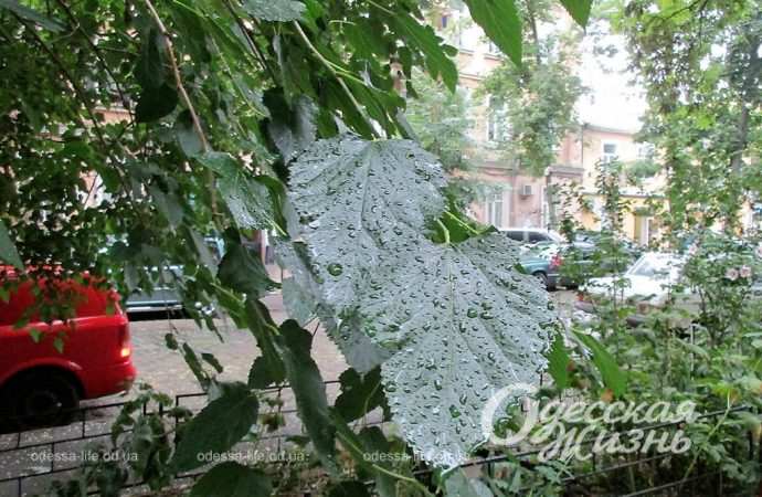 Погода в Одесі: вітряно і місцями дощі