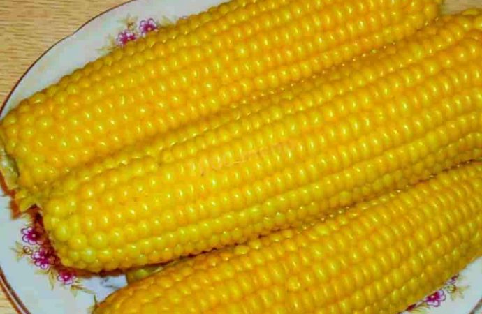 Чому корисно їсти кукурудзу
