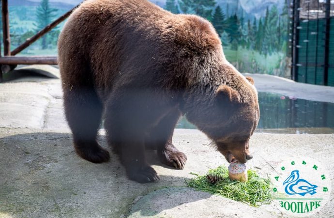 Одесский зоопарк