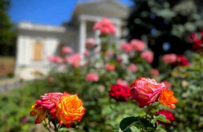 Погода в Одесі 13 серпня: чи буде недільний дощ